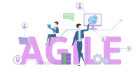 Are Agile Certifications Worth It