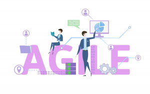 Are Agile Certifications Worth It